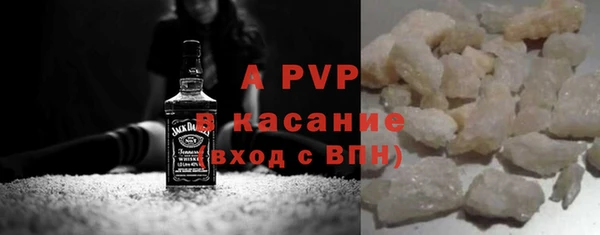 спиды Каменногорск